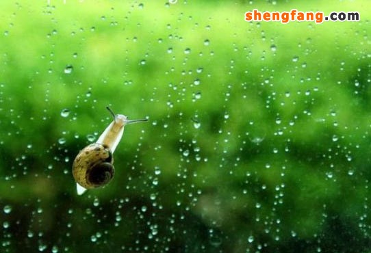 梅雨天气家居防潮