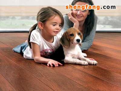 不规范的家居打扫留下污染的隐患