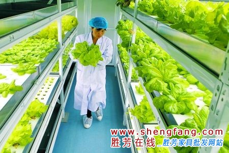 十四种能真正吃出蔬菜营养的方法