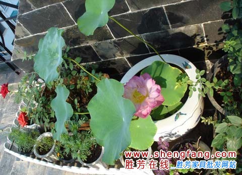 现代混搭装修的家 给你不一样的家居设计灵感