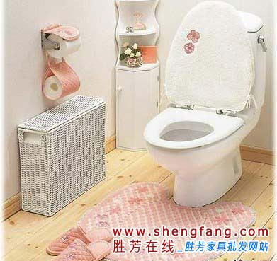 家居座便器风水禁忌