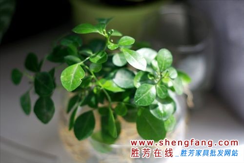 创意打造30平米美家