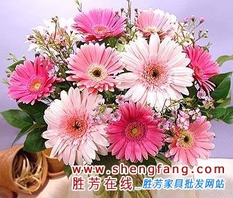 家中的甲醛味该如何消除?