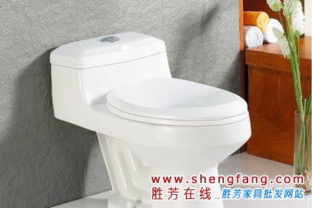 节水坐便器