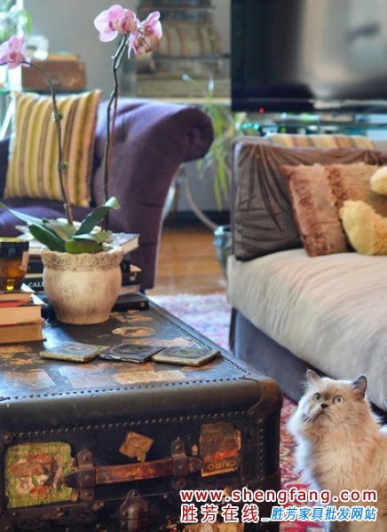 美式装修出的一室一厅效果