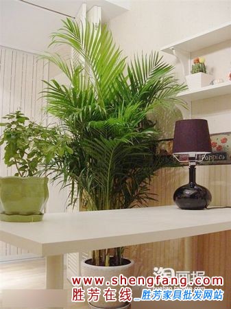 清纯90后MM 3万华丽丽改造50平米老公房(图)