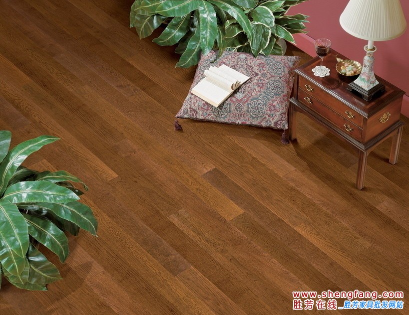 强化地板清洁方法