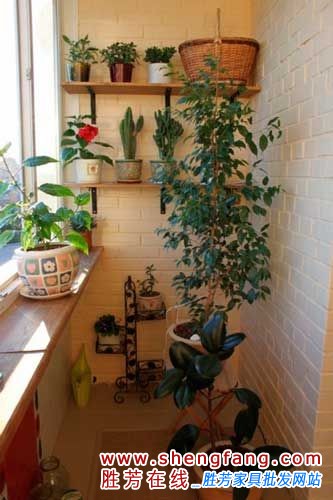 阳台创意装修案例