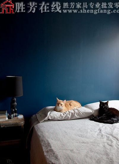 看插画家巧用红墙装家