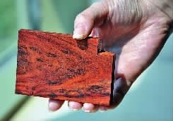 读者展示其发现的&ldquo;假紫檀&rdquo;样料，缺损部位已送检