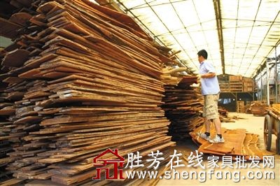 业内人士认为，从原木上取材，利用率高于板材。资料图片